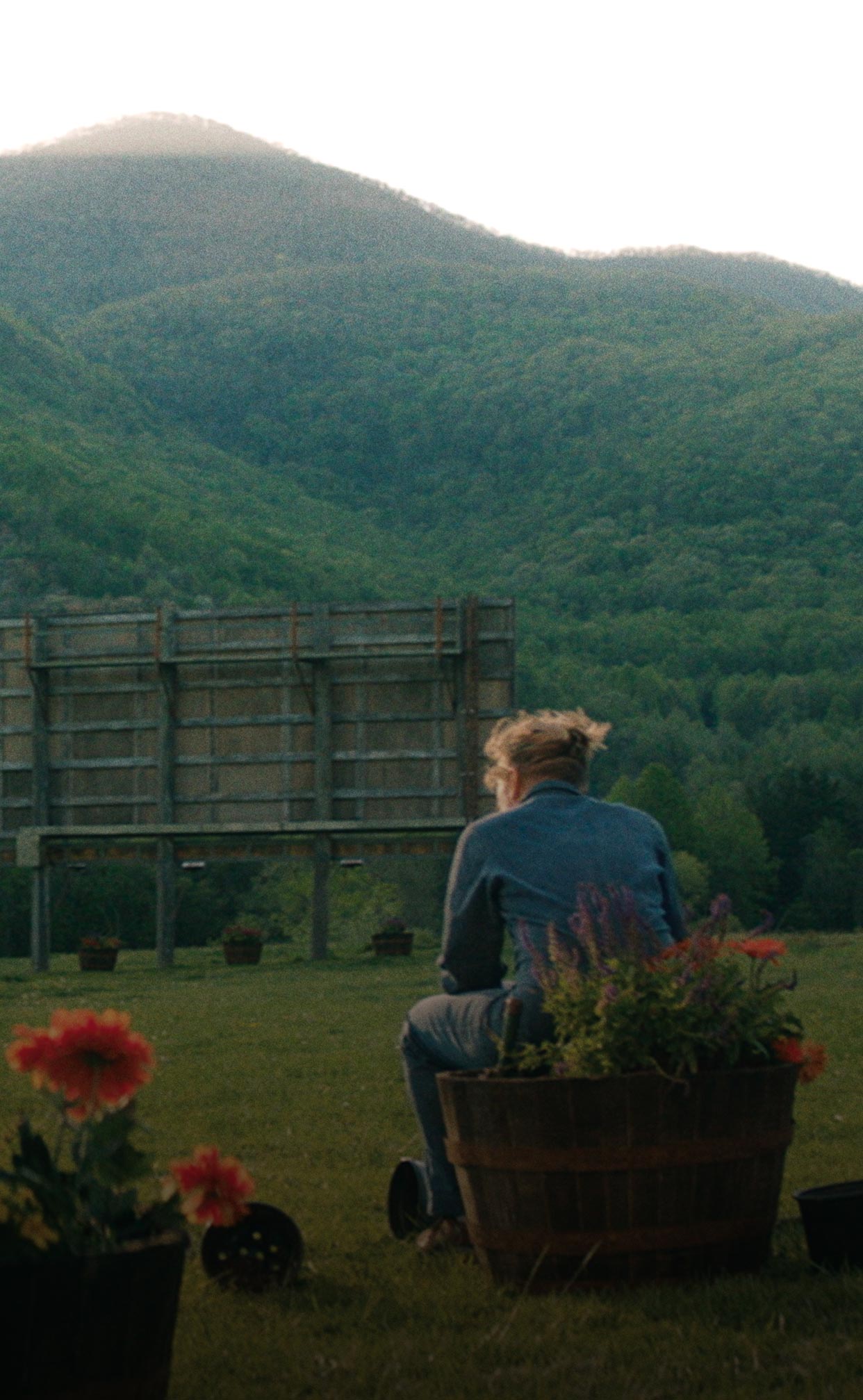 Three Billboards